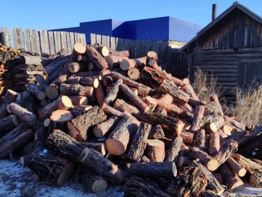 «Забайкаллесхоз» приостанавливает услугу по заготовке и доставке дров забайкальцам на неопределенный срок